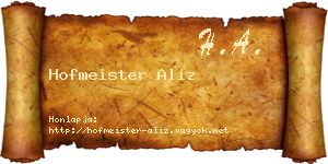 Hofmeister Aliz névjegykártya