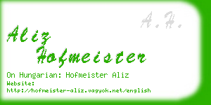 aliz hofmeister business card